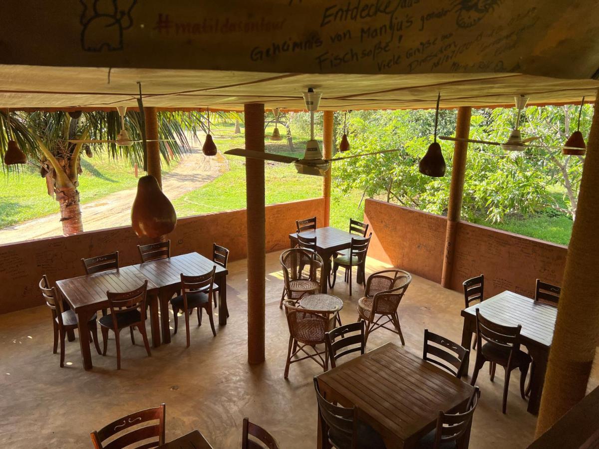 Yala Peace Cottages Tissamaharama Buitenkant foto